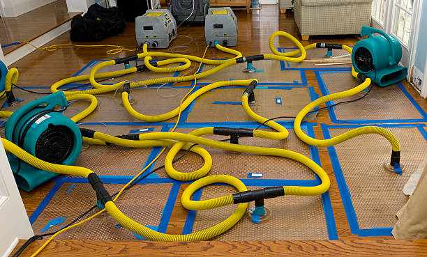 Professional Basement Flood Cleanup technician working in Signal Mountain, TN
